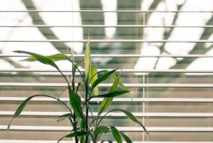 Blind Cleaning Wellington
